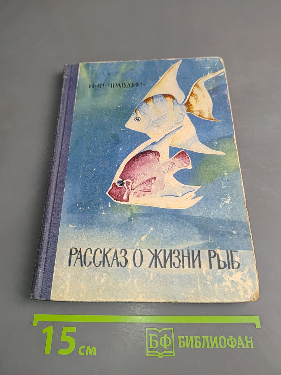 Рассказ о жизни рыб