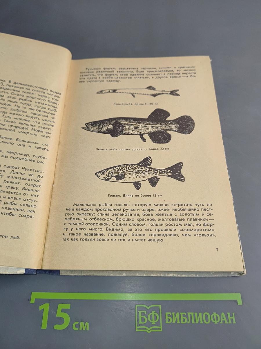 Рассказ о жизни рыб