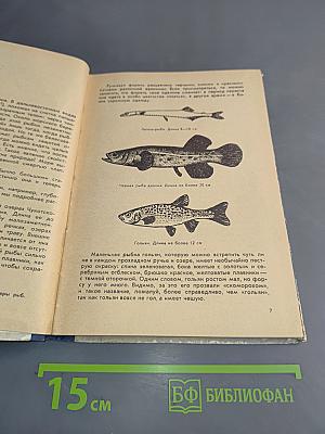 Рассказ о жизни рыб