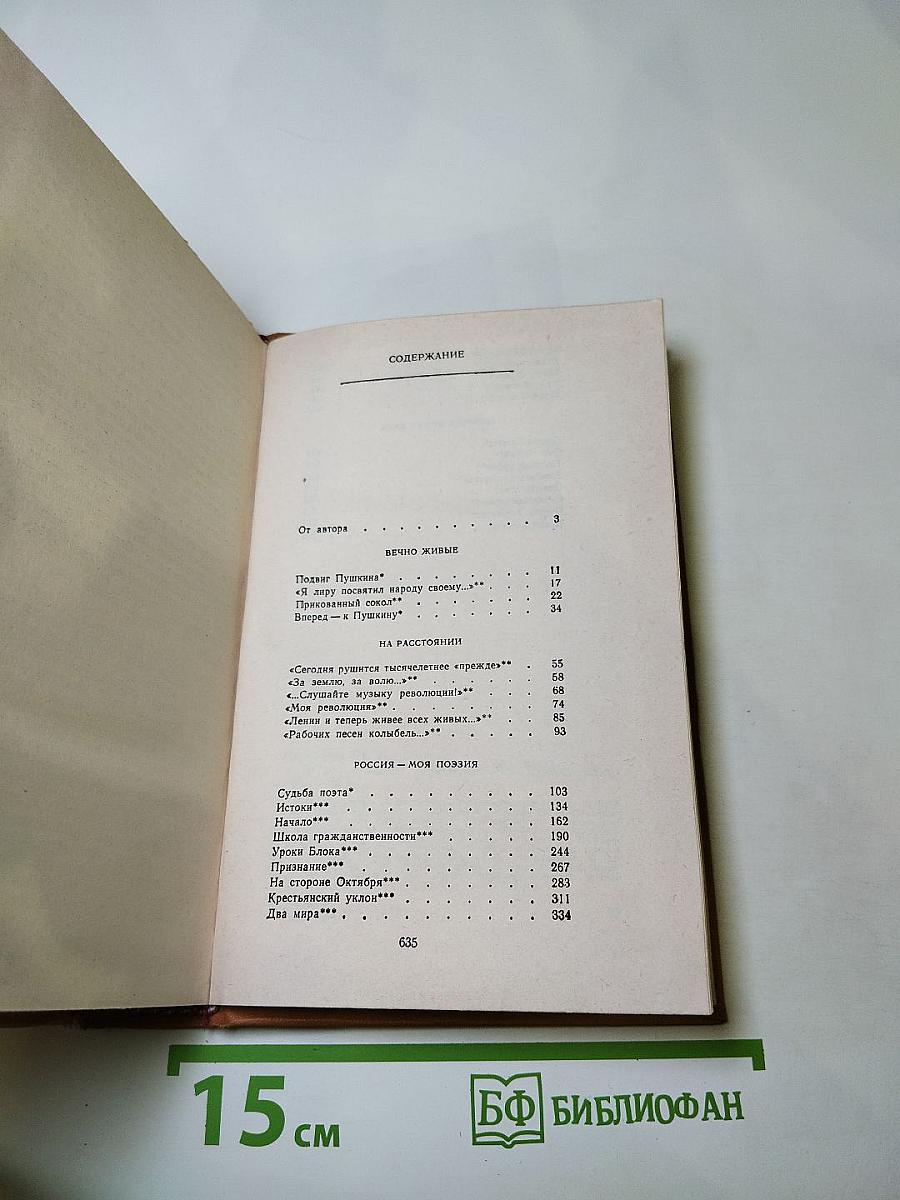 Время, Поэзия, Критика