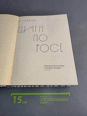 Шаги по росе