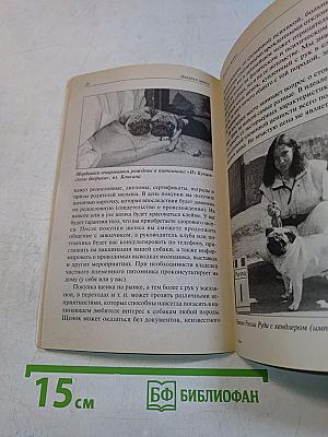Мопс