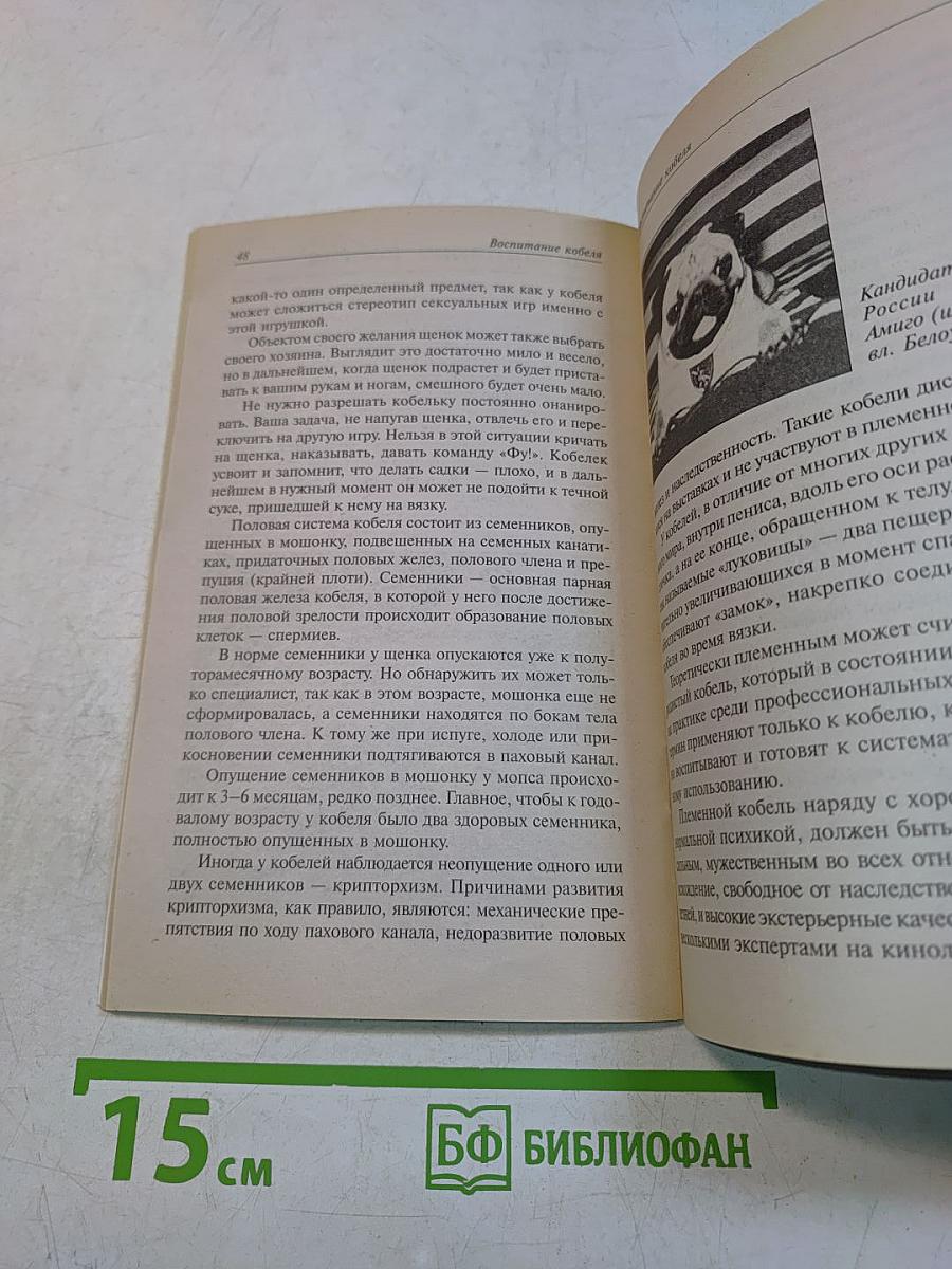 Мопс