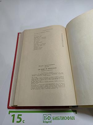 Где наша не пропадала