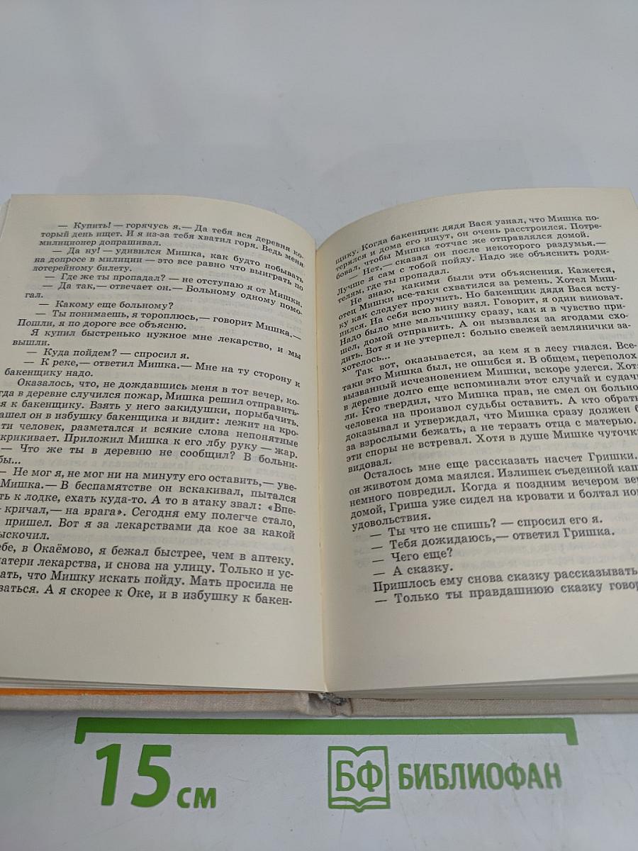 Журавли над школой
