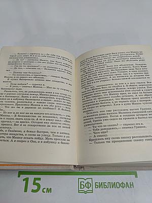 Журавли над школой