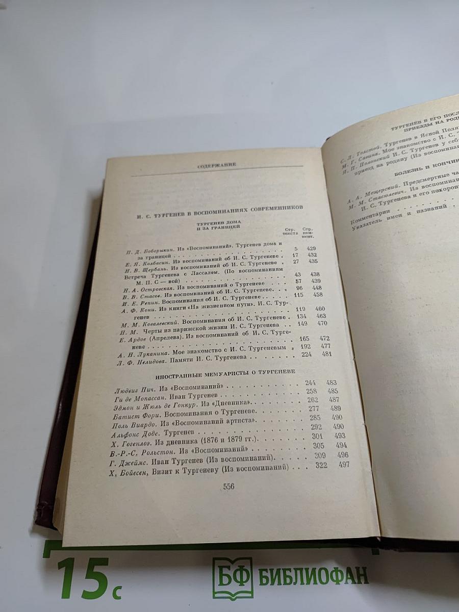 И. С. Тургенев в воспоминаниях современников. Том второй