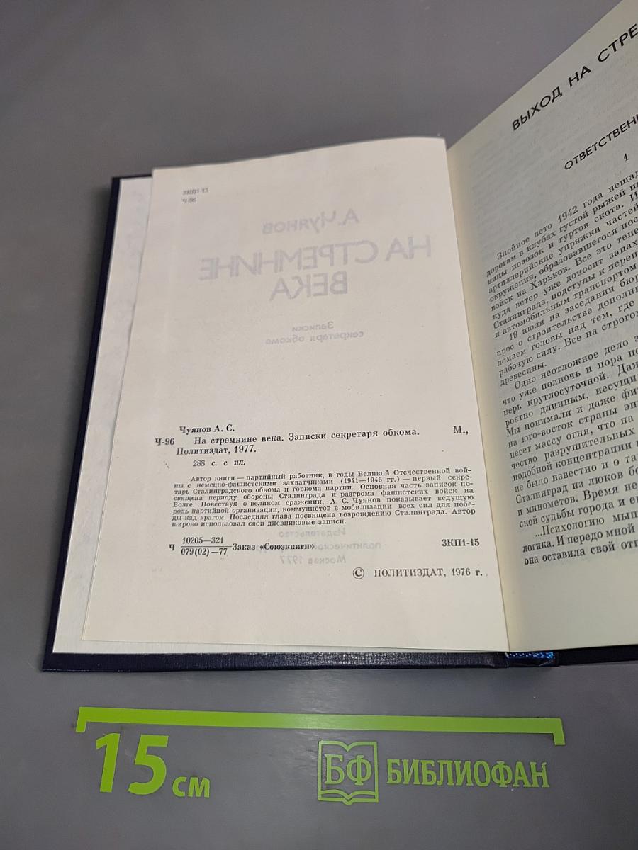 На стремнине века