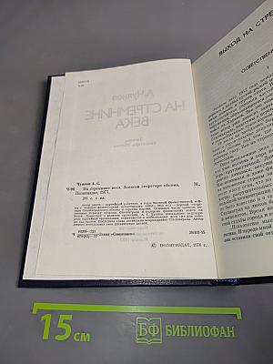 На стремнине века
