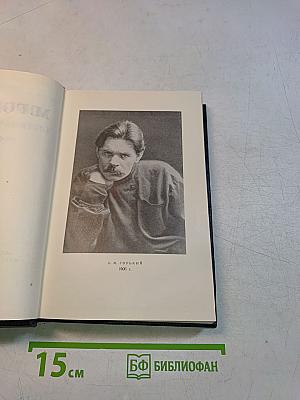 Собрание сочинений. Том 23. Статьи 1895-1906