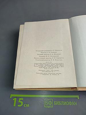 Рассвет