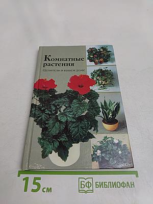 Комнатные растения. Целители в вашем доме