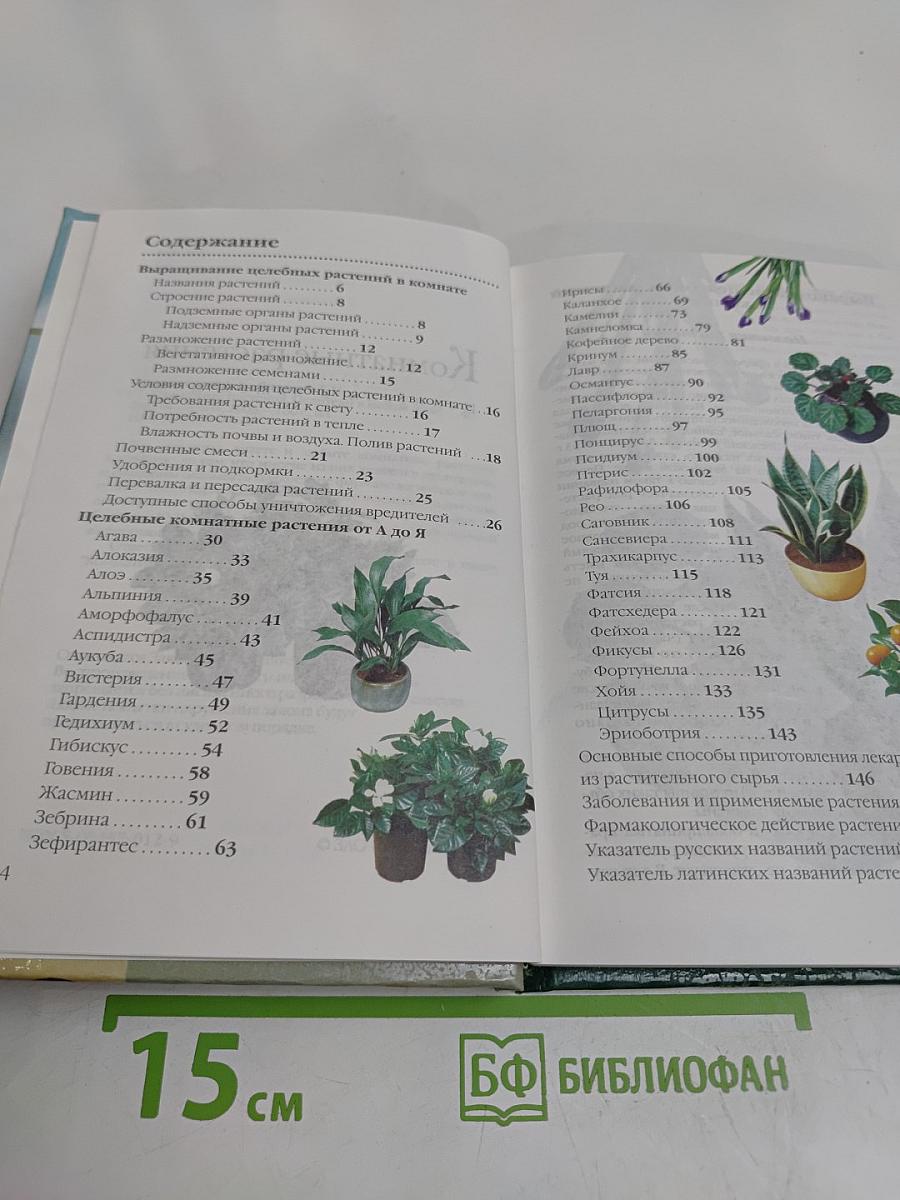Комнатные растения. Целители в вашем доме