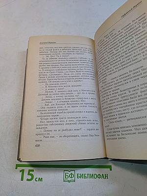 Избранник ворона