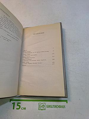 Избранник ворона