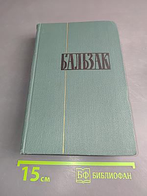 Сцены провинциальной жизни
