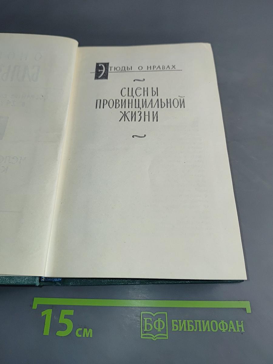Сцены провинциальной жизни