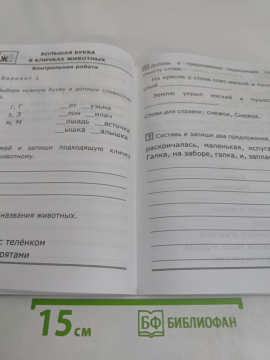 Русский язык. Контрольные работы. 1 класс