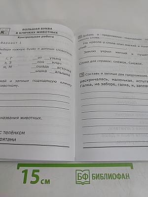 Русский язык. Контрольные работы. 1 класс