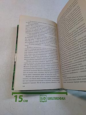 Странствия мага. Книга вторая. Хранитель мечей. Том первый