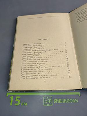 Николай Щорс