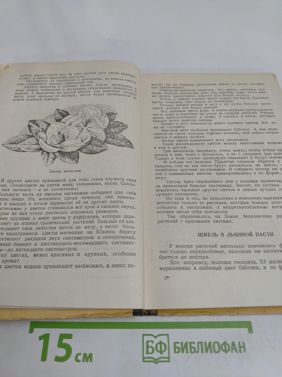 Рассказы о цветах