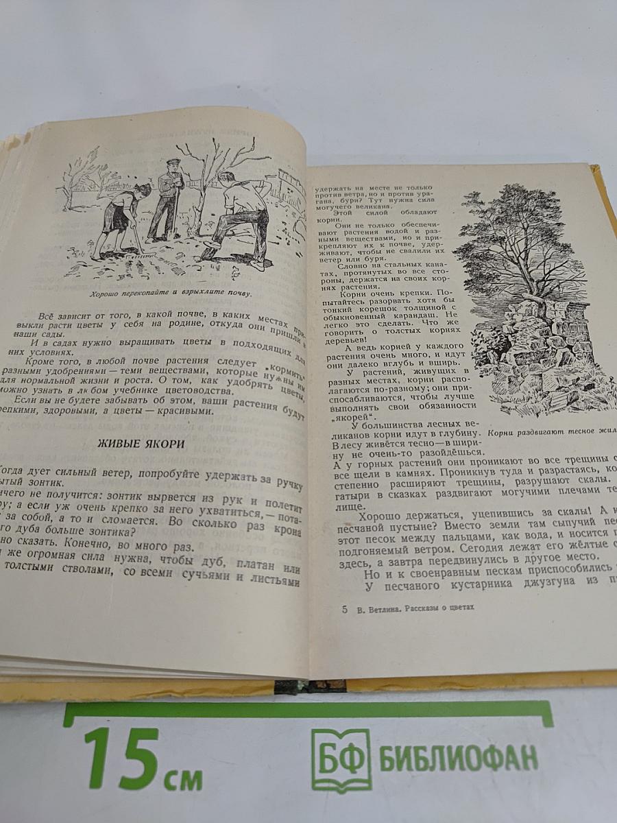 Рассказы о цветах