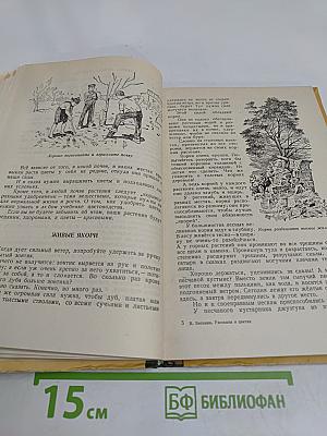 Рассказы о цветах