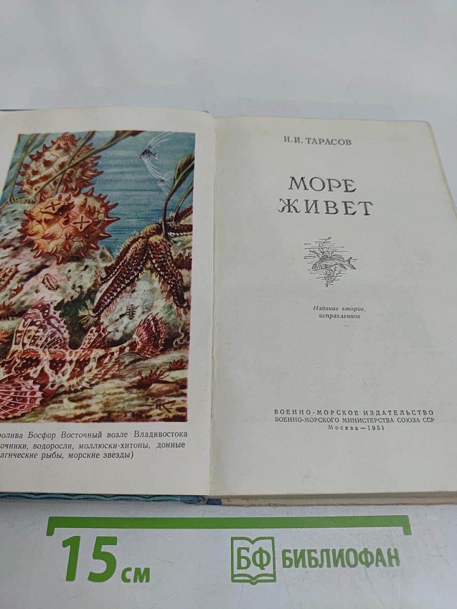 Море живет