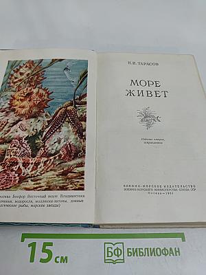 Море живет