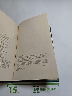 Московские элегии. Стихотворения. Мелочи из запаса моей памяти