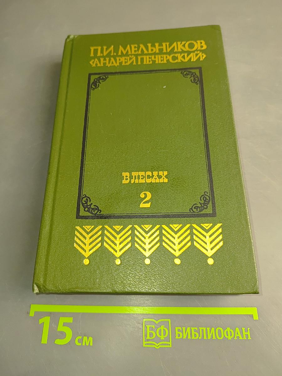 В лесах. Книга вторая