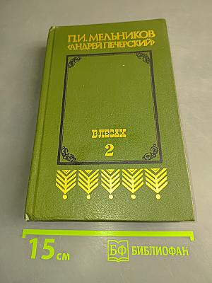 В лесах. Книга вторая