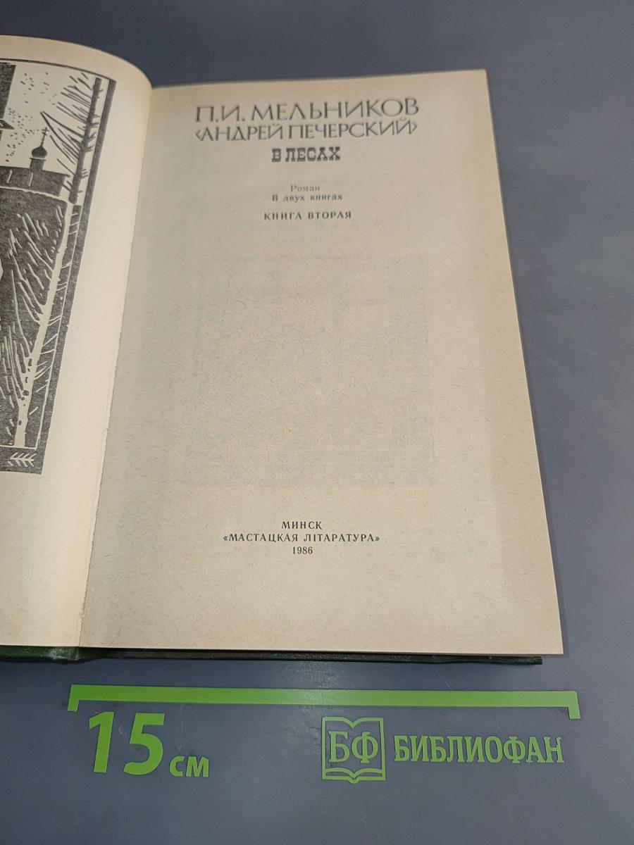 В лесах. Книга вторая