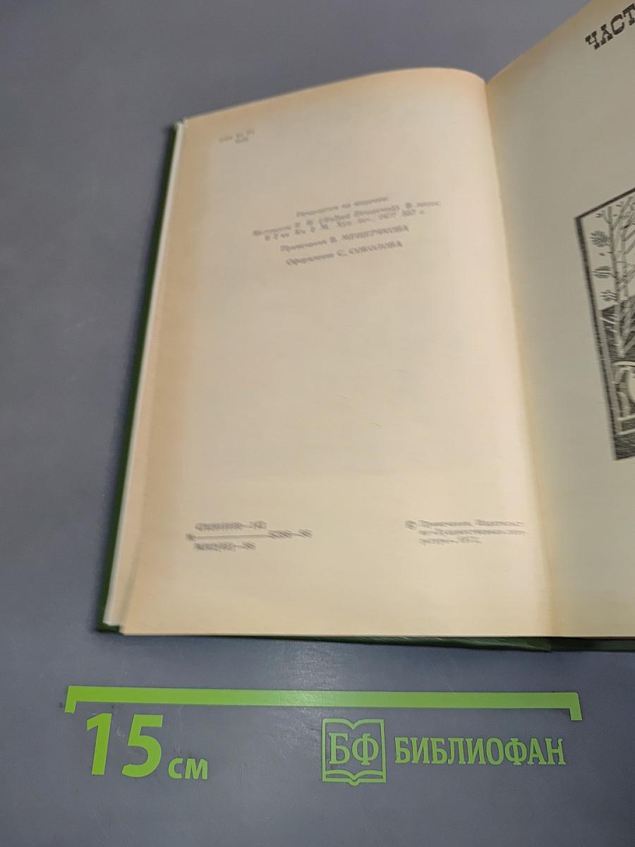 В лесах. Книга вторая