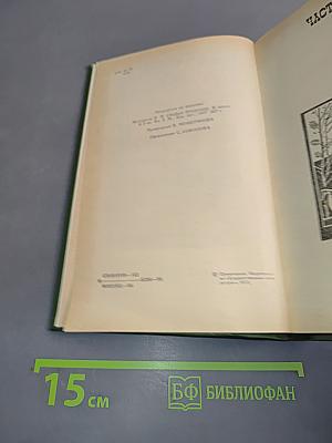 В лесах. Книга вторая