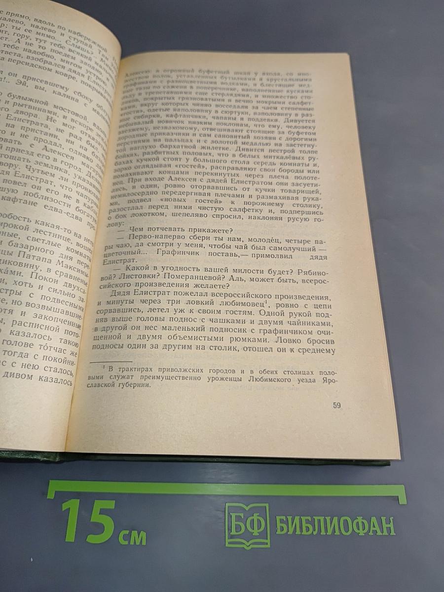 В лесах. Книга вторая