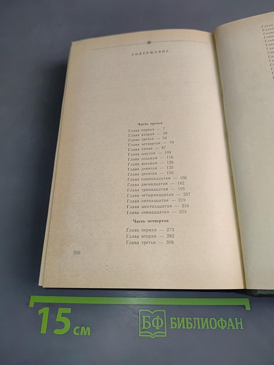В лесах. Книга вторая