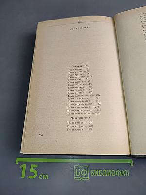 В лесах. Книга вторая