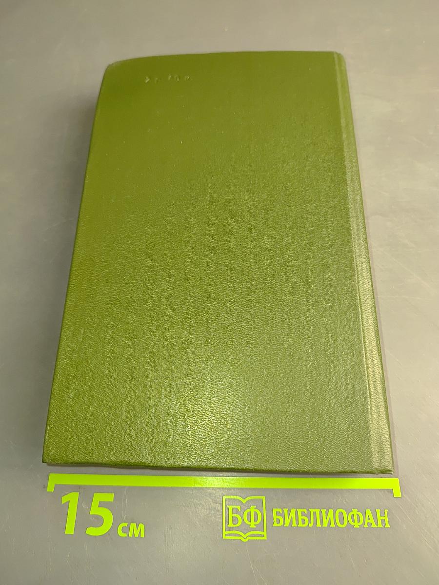 В лесах. Книга вторая