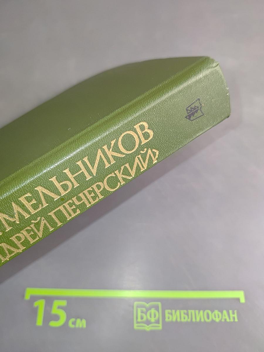 В лесах. Книга вторая