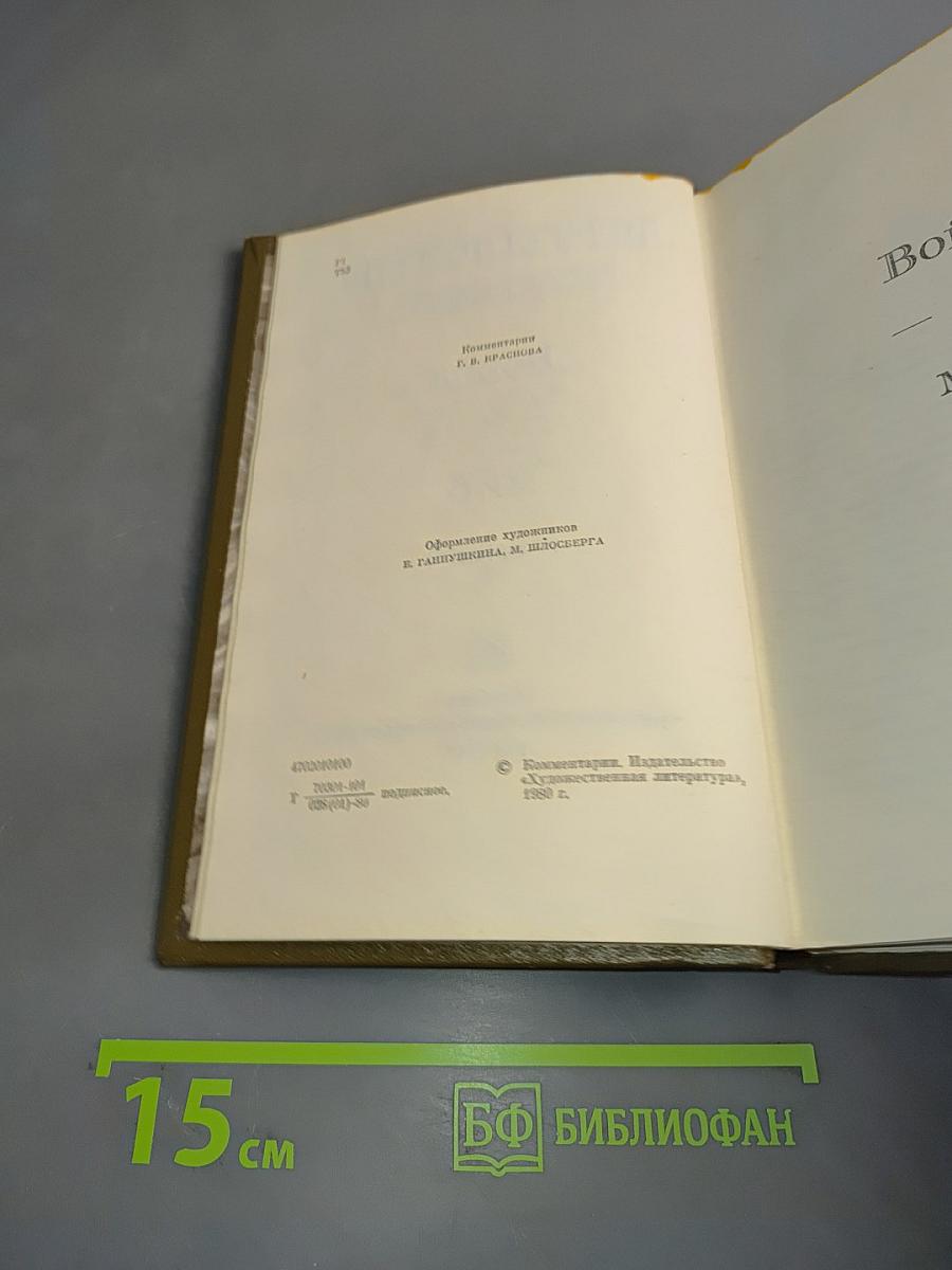 Война и мир. Том шестой