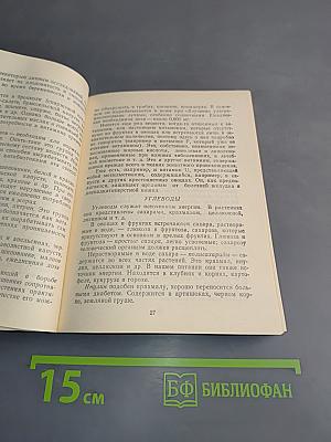 Из леса и огорода от весны до зимы