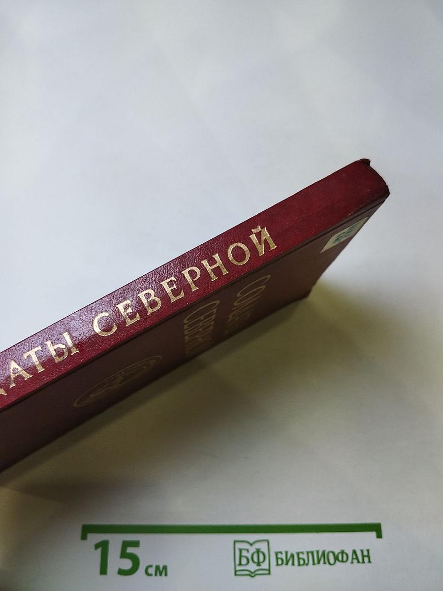 Солдаты Северной