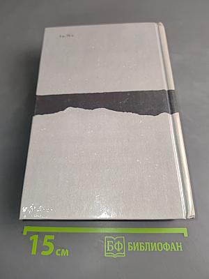 Петербургские трущобы. Книга о сытых и голодных. Части IV-VI