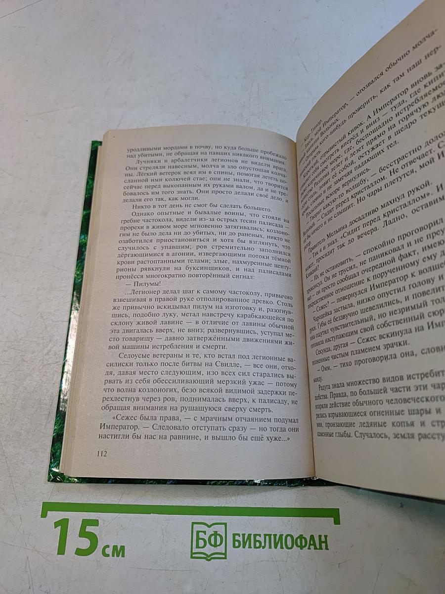 Война мага. Том третий. Хранитель мечей. Книга четвертая. Эндшпиль