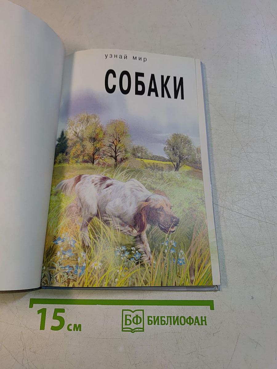 Собаки. Школьный путеводитель