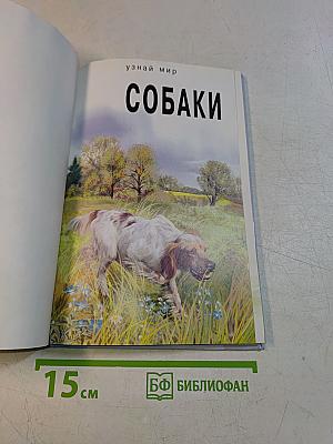 Собаки. Школьный путеводитель