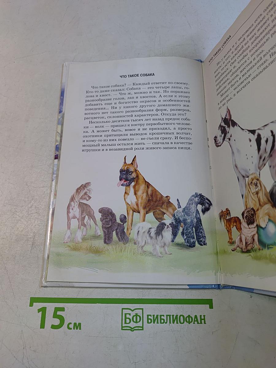 Собаки. Школьный путеводитель