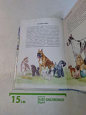 Собаки. Школьный путеводитель